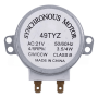 Моторчик тарілки 49TYZ 21V 4/5rpm